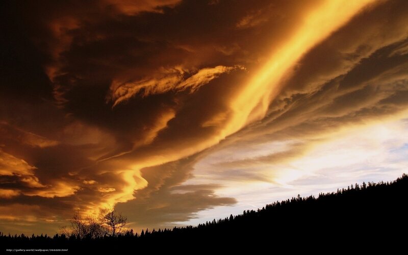 Dramatic Sunset Clouds — Orange, Photograph, Forest