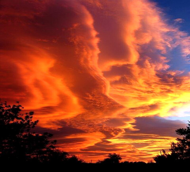 Dramatic Sunset Clouds — Orange, Photograph, Trees, Sky