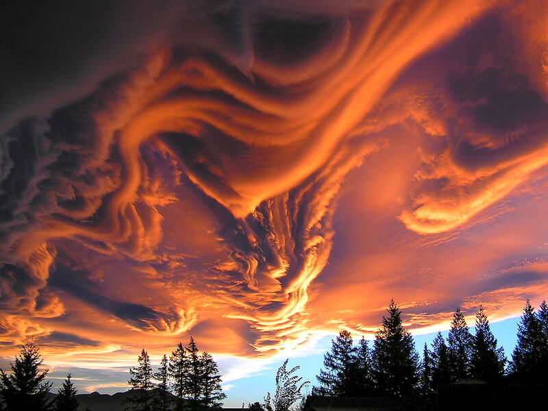 Dramatic Sunset Clouds — Orange, Photograph, Trees
