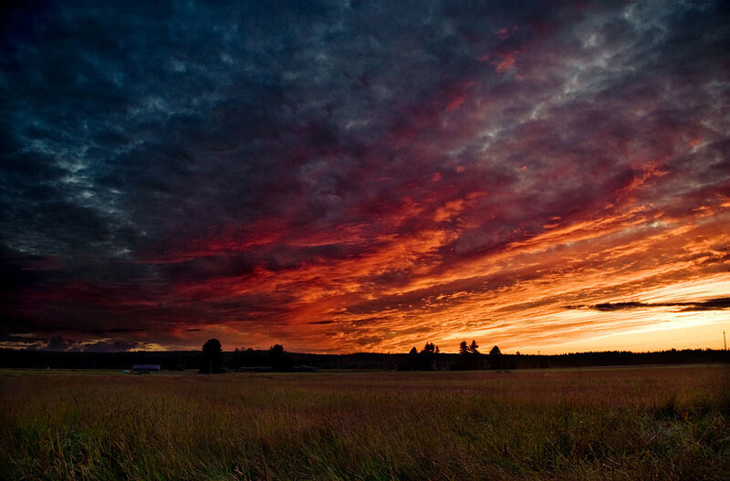 Dramatic sunset over a field