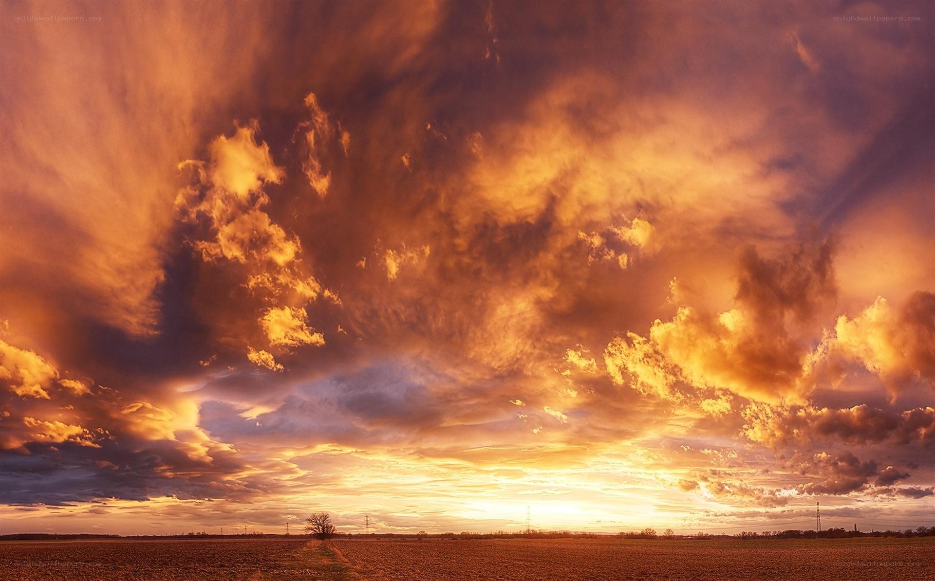 Dramatic sunset over a field