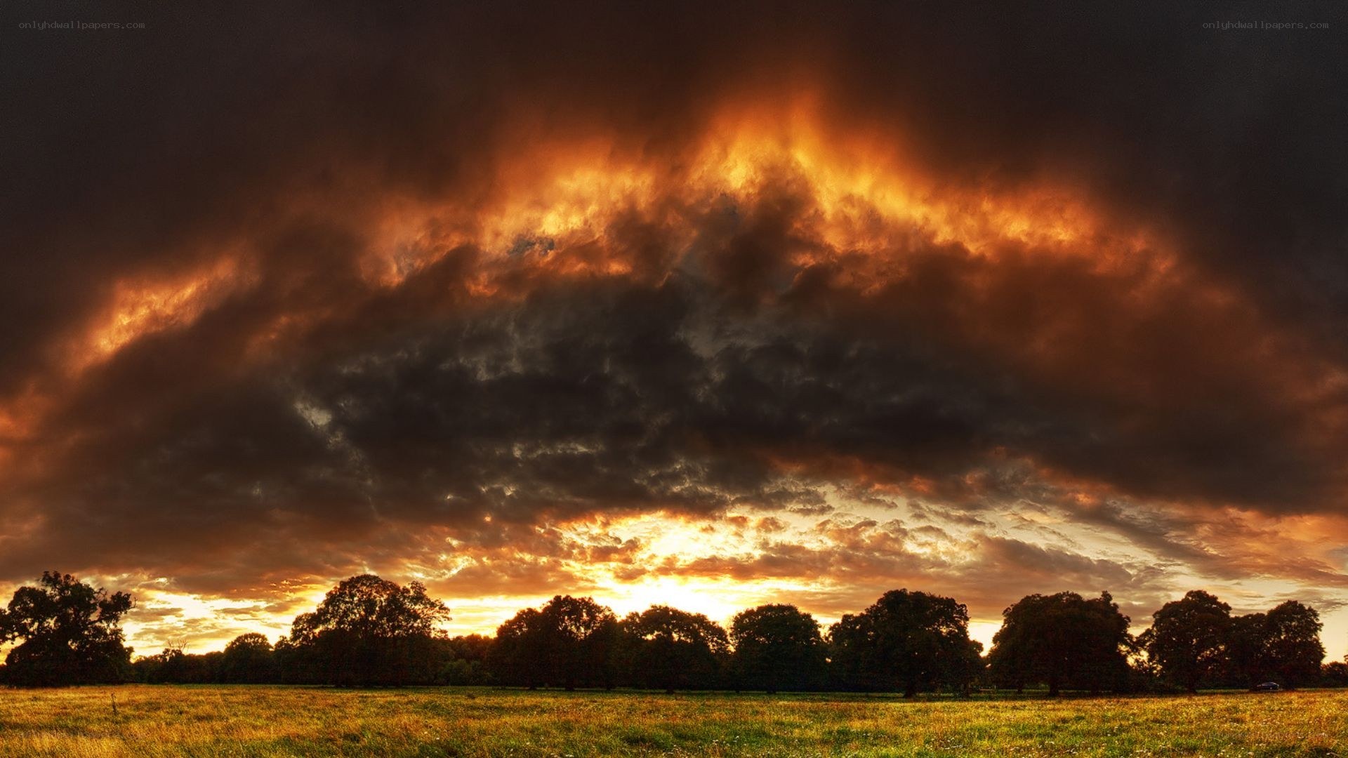 dramatic sunset over a field