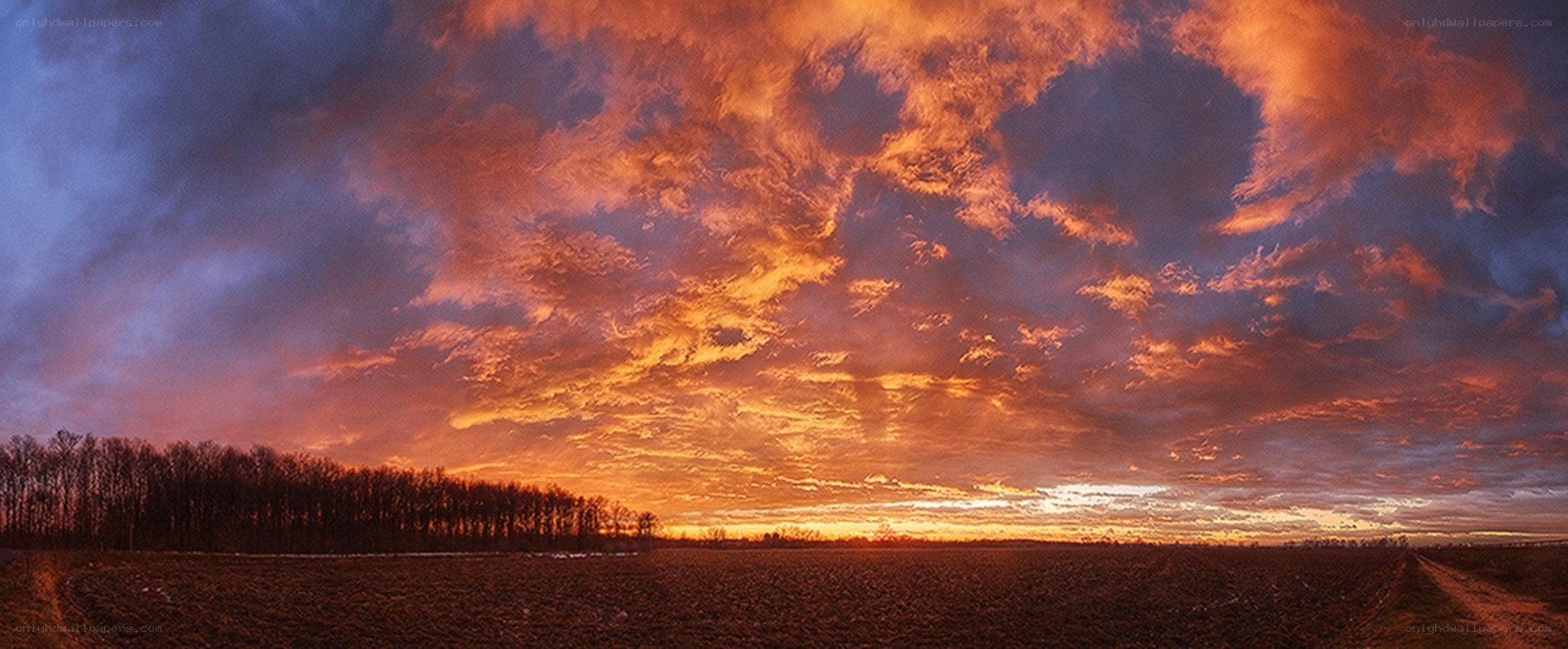 dramatic sunset over a field