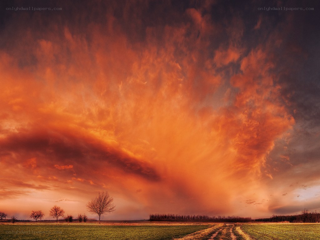 Dramatic sunset over a field