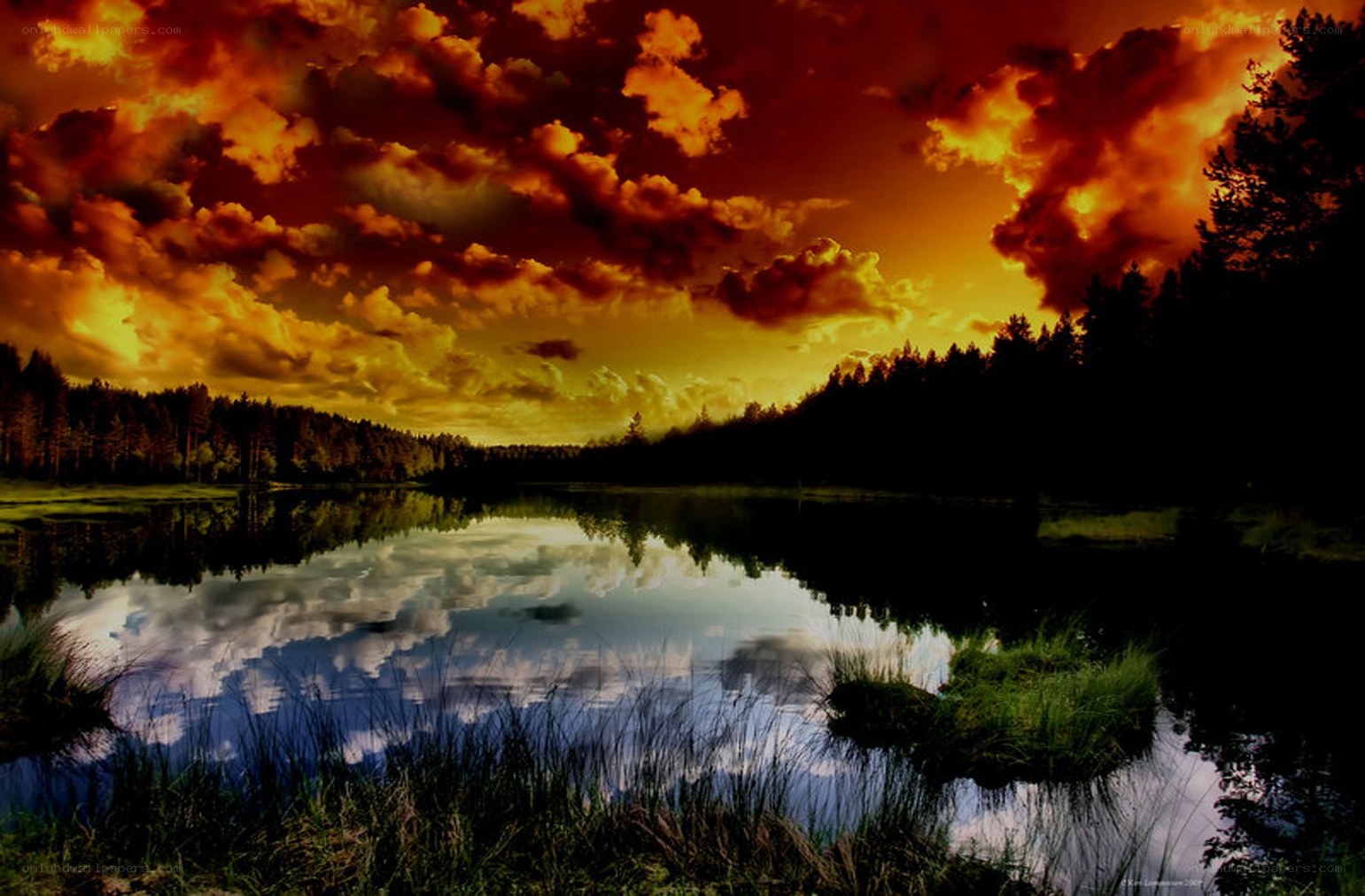 Dramatic sunset over a forest lake