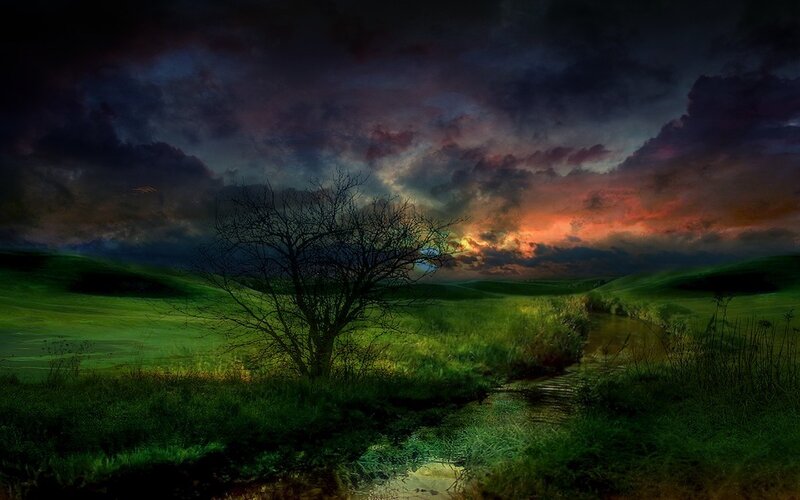 Dramatic sunset over a lone tree