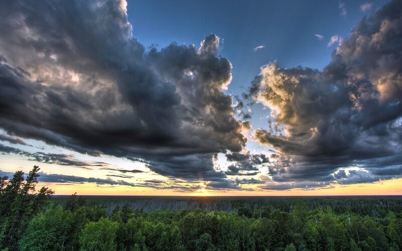 Dramatic sunset over forest