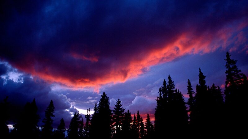 dramatic sunset over forest