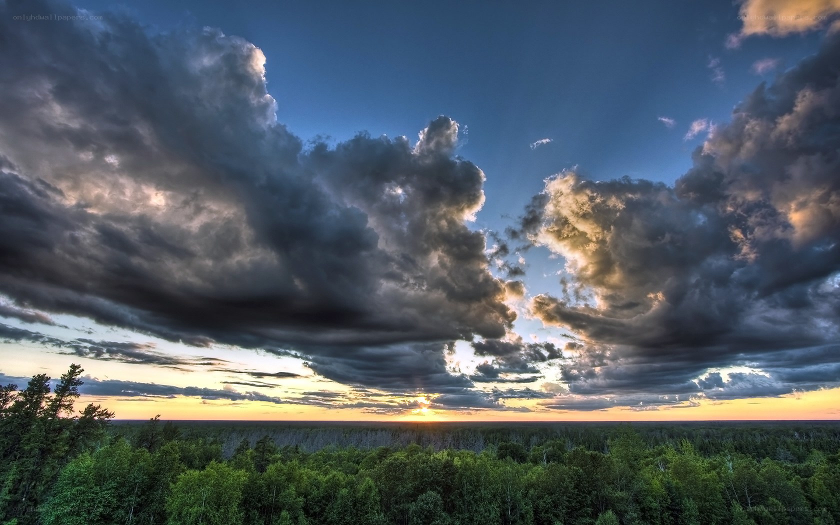 Dramatic sunset over forest
