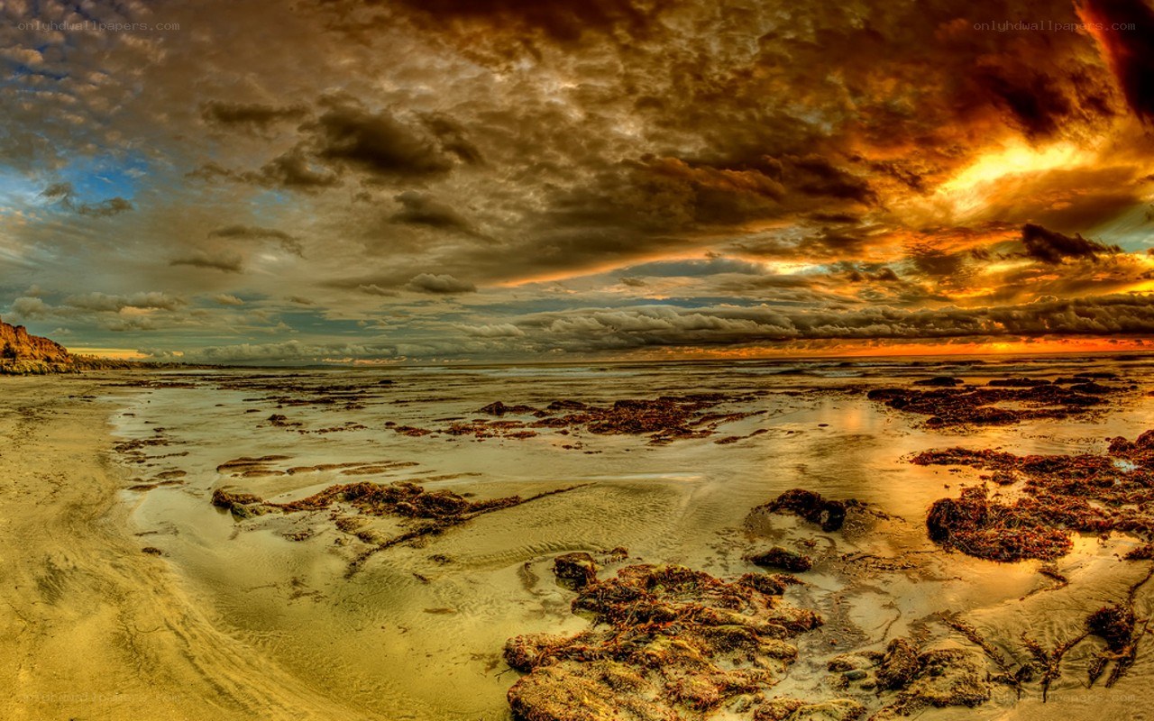 dramatic sunset over rocky beach