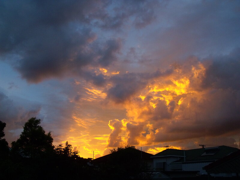 Dramatic sunset over rooftops
