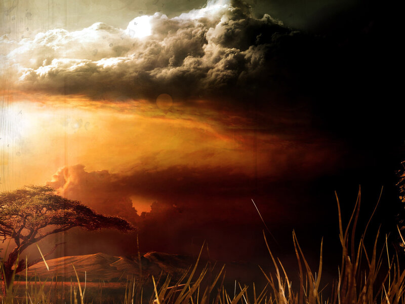 dramatic sunset over savanna