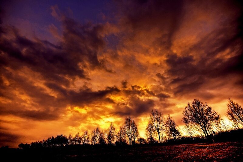 Dramatic sunset over silhouetted trees