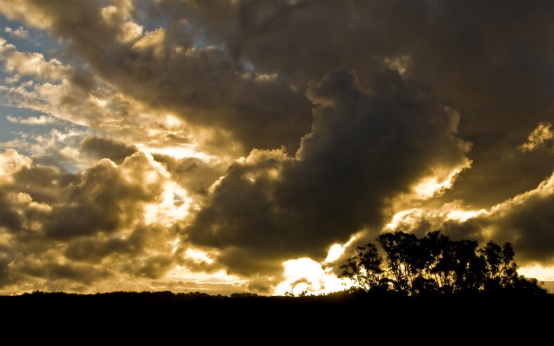 Dramatic sunset over silhouetted trees