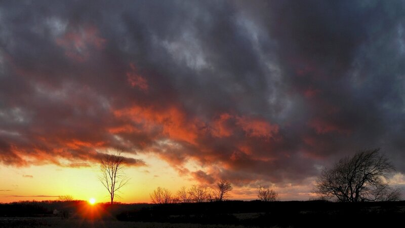 dramatic sunset over silhouetted trees