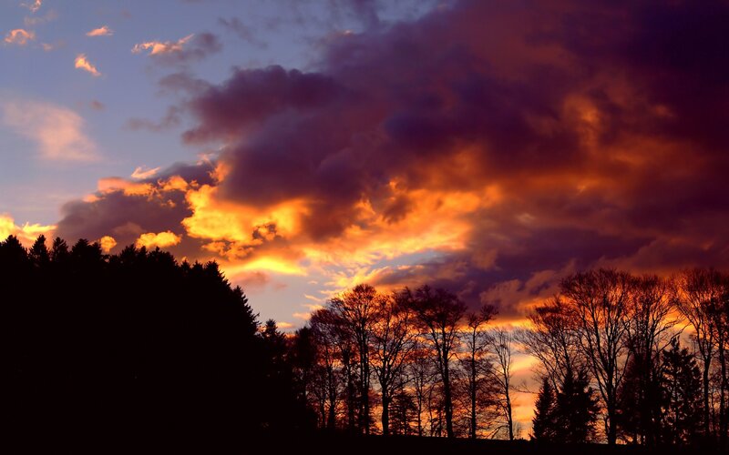 dramatic sunset over silhouetted trees