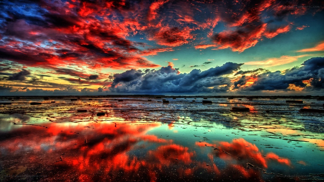 dramatic sunset over wetlands