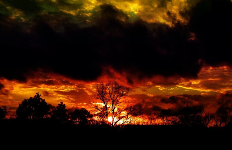 dramatic sunset with silhouetted trees
