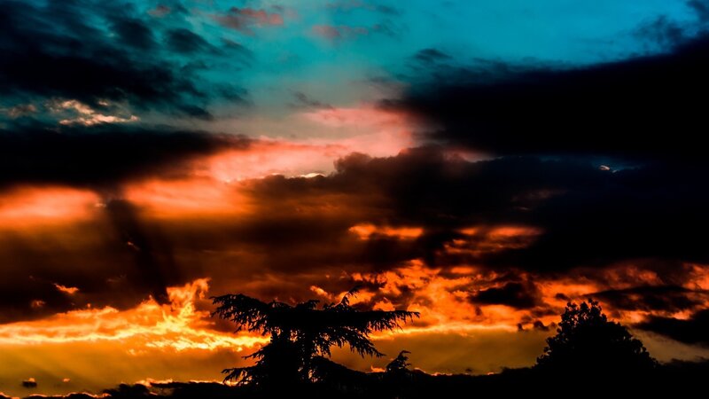 dramatic sunset with silhouetted trees