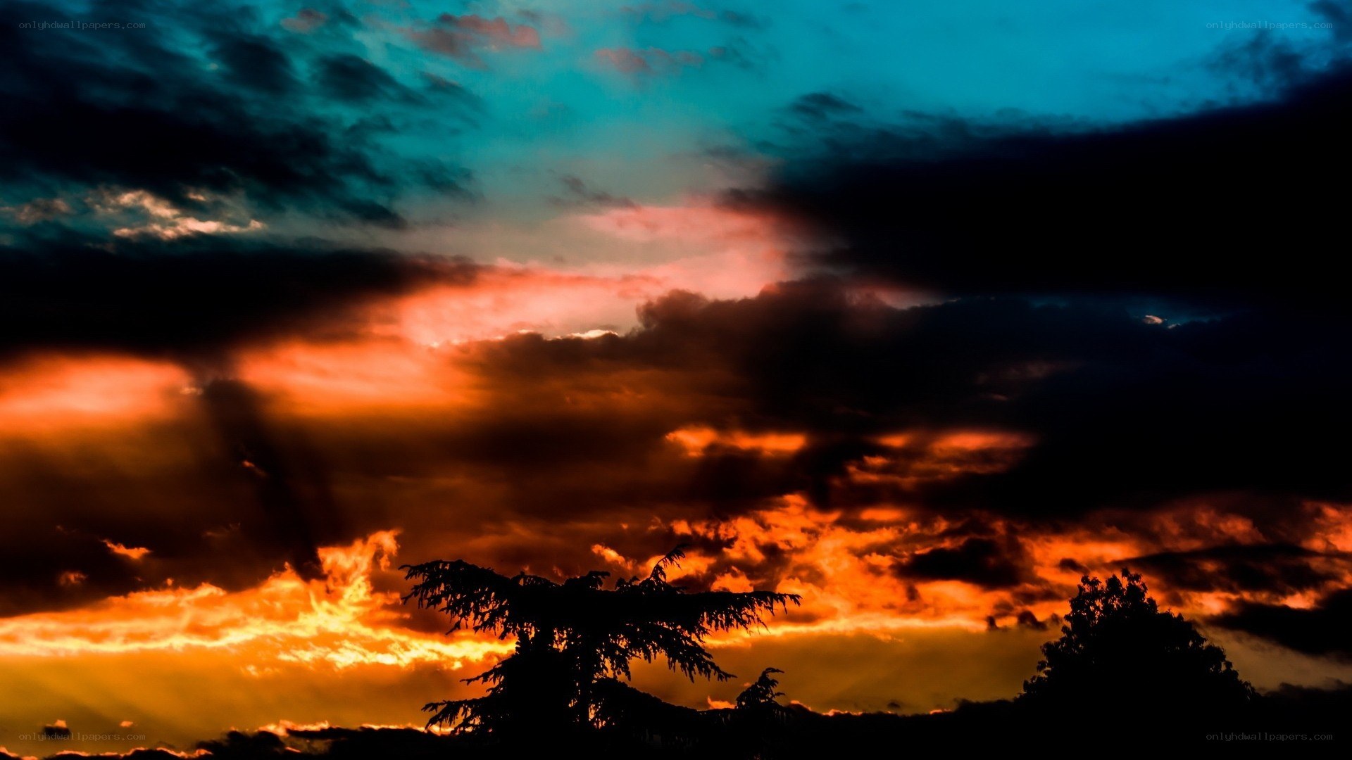 dramatic sunset with silhouetted trees