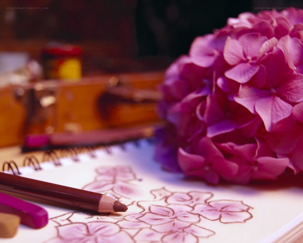 Drawing flowers with colored pencils