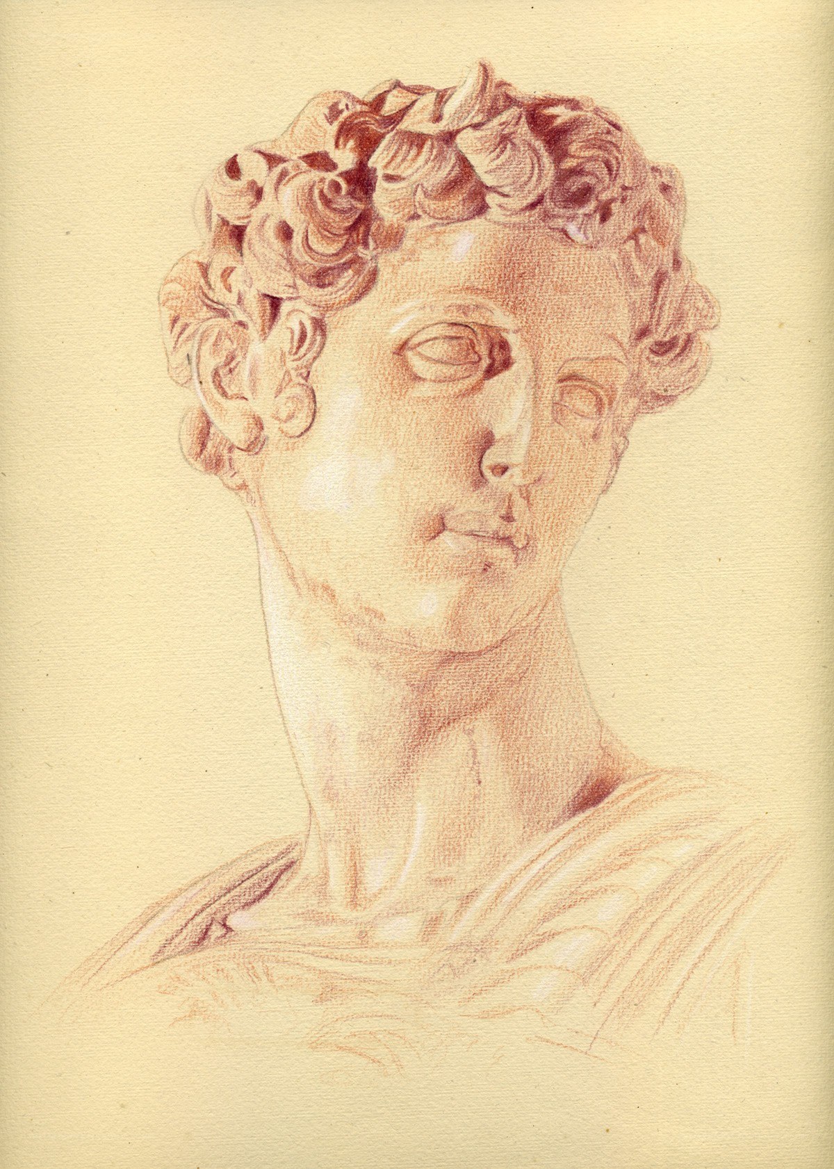 drawing of a classical bust