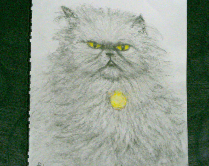 drawing of a fluffy cat
