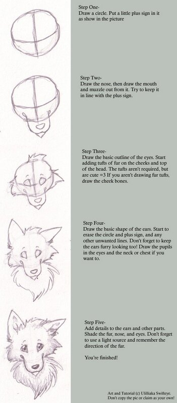 drawing tutorial for a fox head