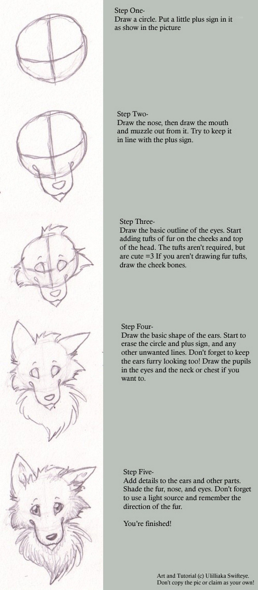 drawing tutorial for a fox head