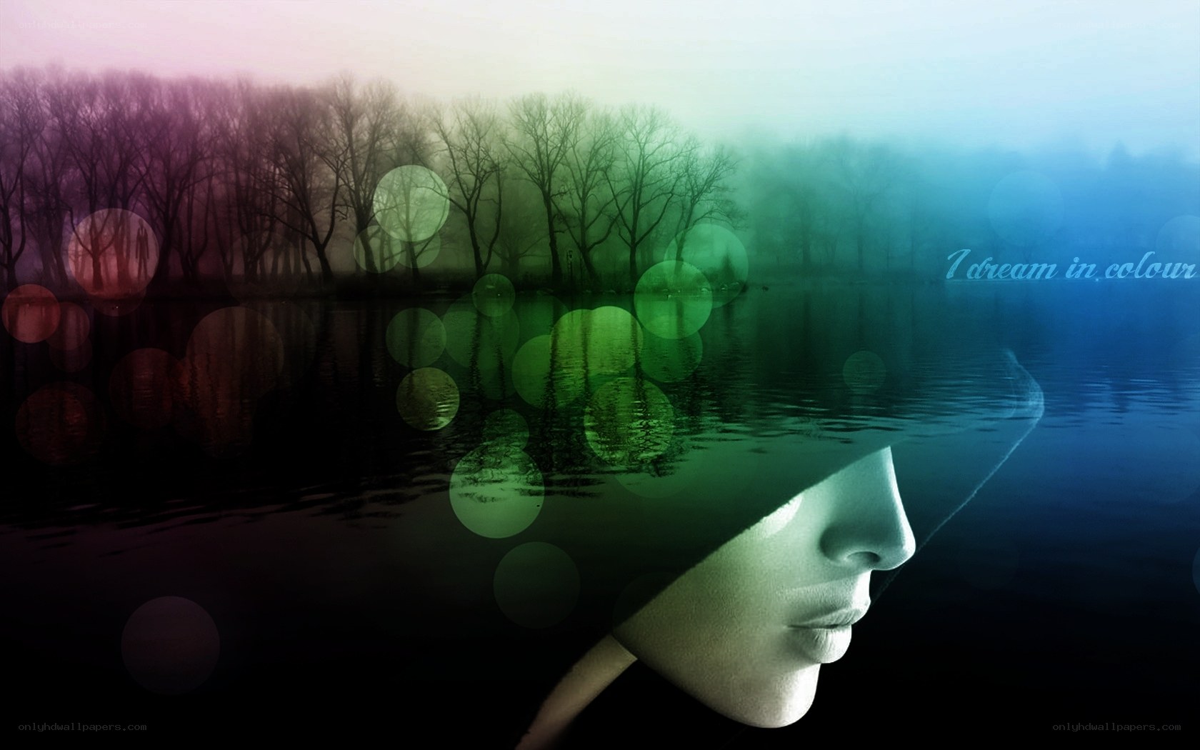 dream in colour