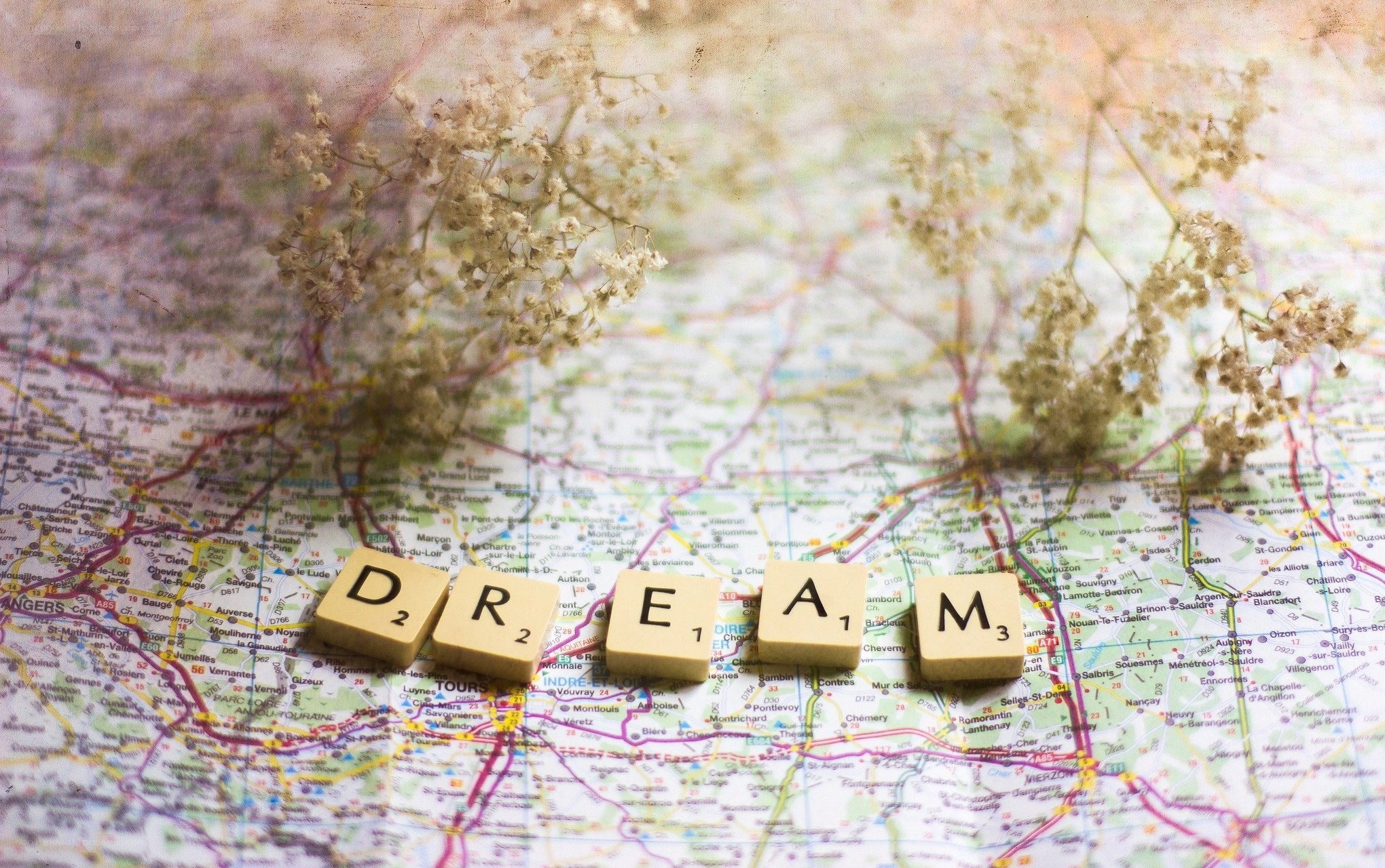 Dream word on map with flowers