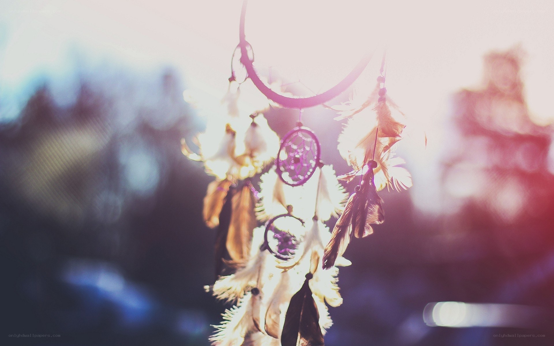 Dreamcatcher in sunlight
