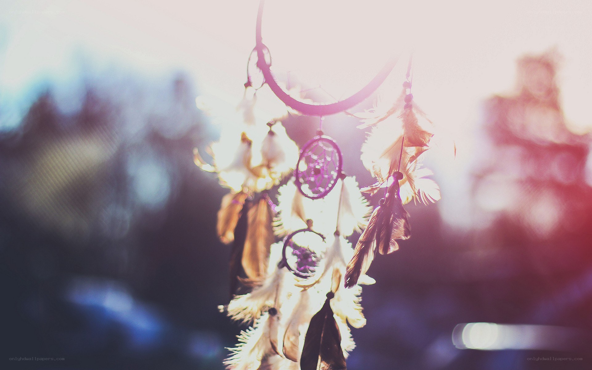 dreamcatcher in sunlight