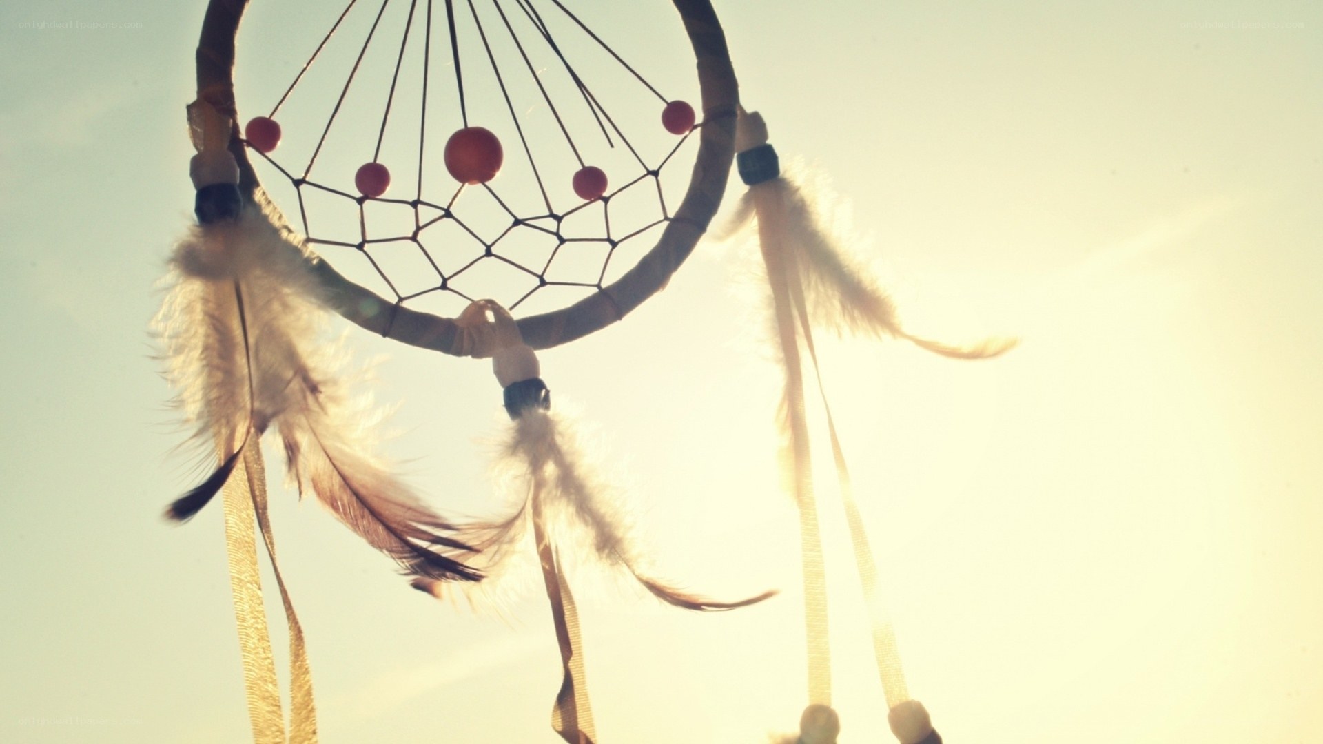 dreamcatcher in sunlight