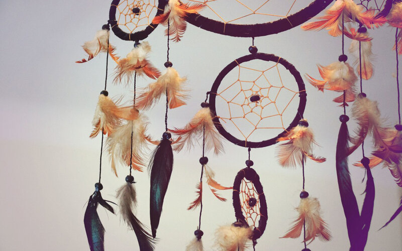 Dreamcatcher with Feathers — Brown, Calm