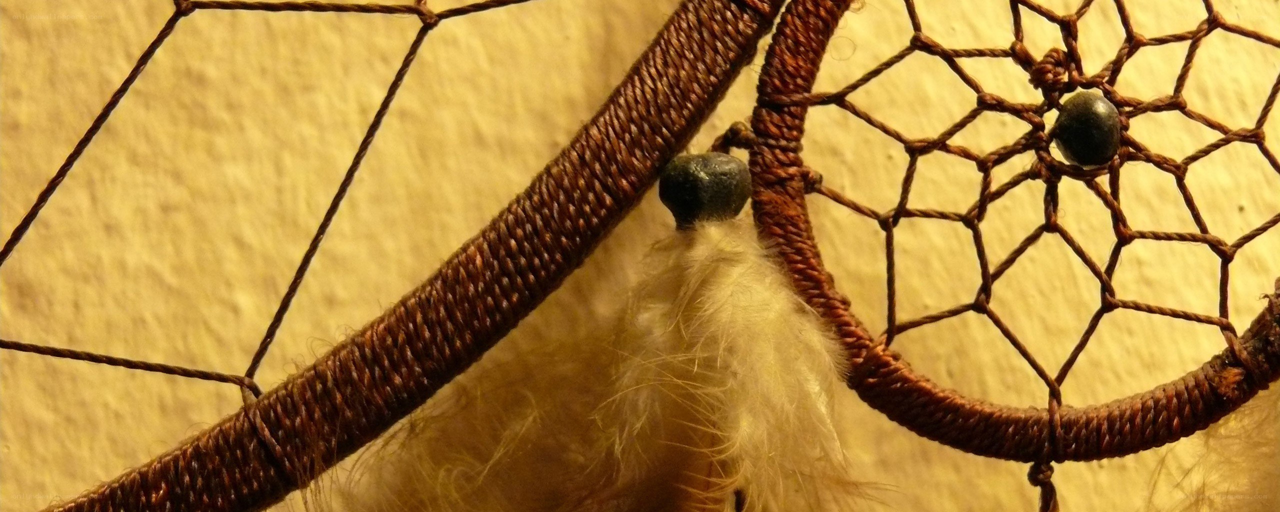 Dreamcatcher with feathers