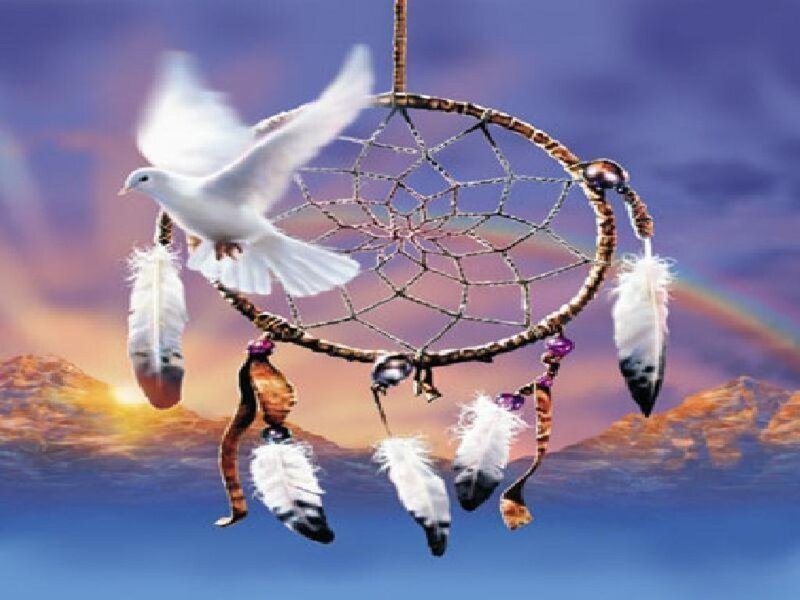 Dreamcatcher with White Dove