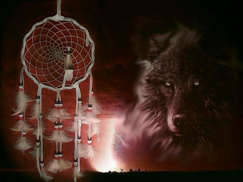 Dreamcatcher with wolf spirit
