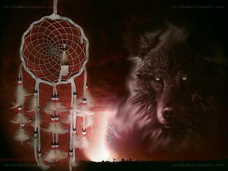 Dreamcatcher with wolf spirit