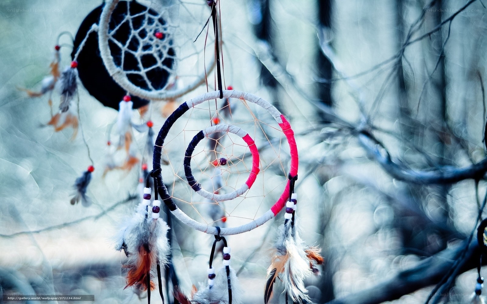 Dreamcatchers in a forest