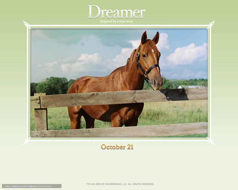 Dreamer horse wallpaper