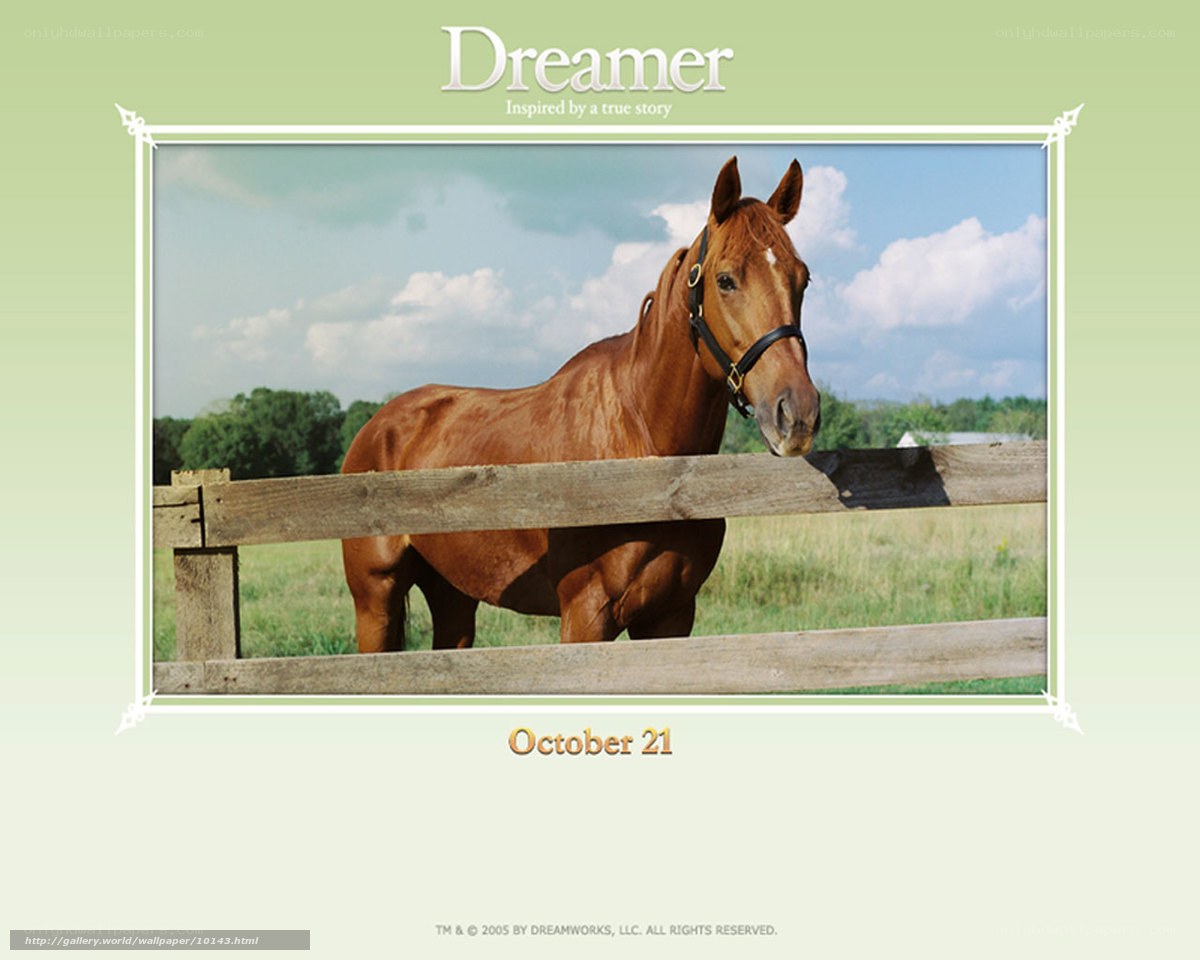 Dreamer horse wallpaper