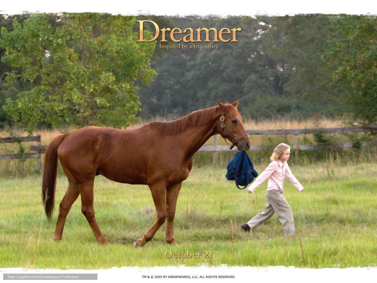 Dreamer movie poster
