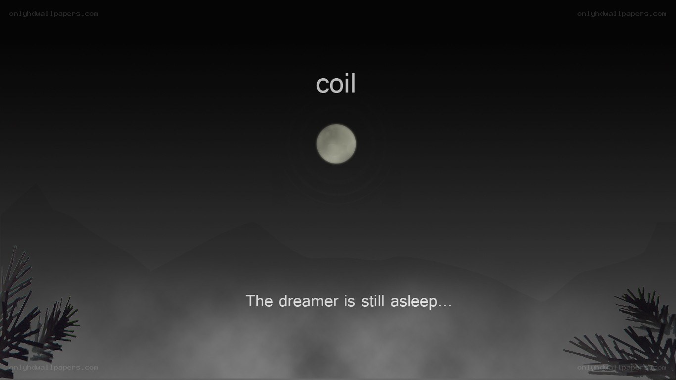 dreamer still asleep