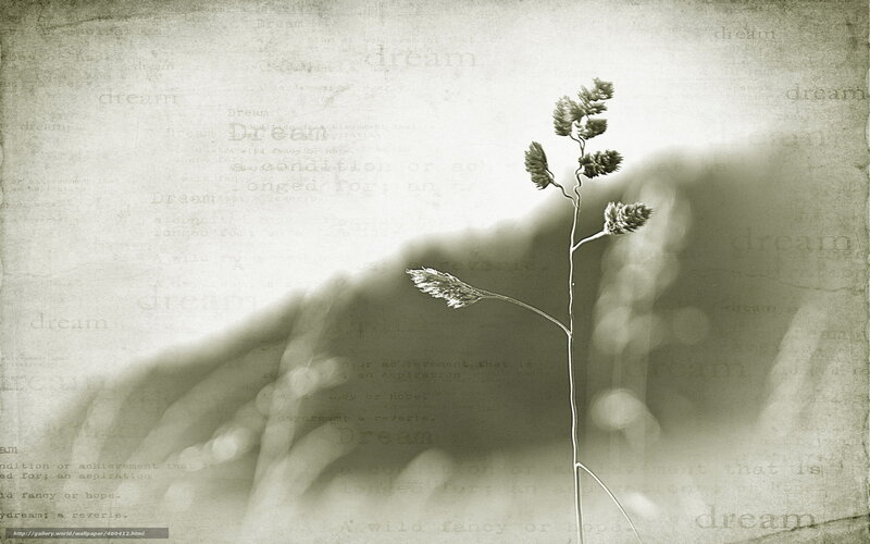 Dreaming grass in sepia