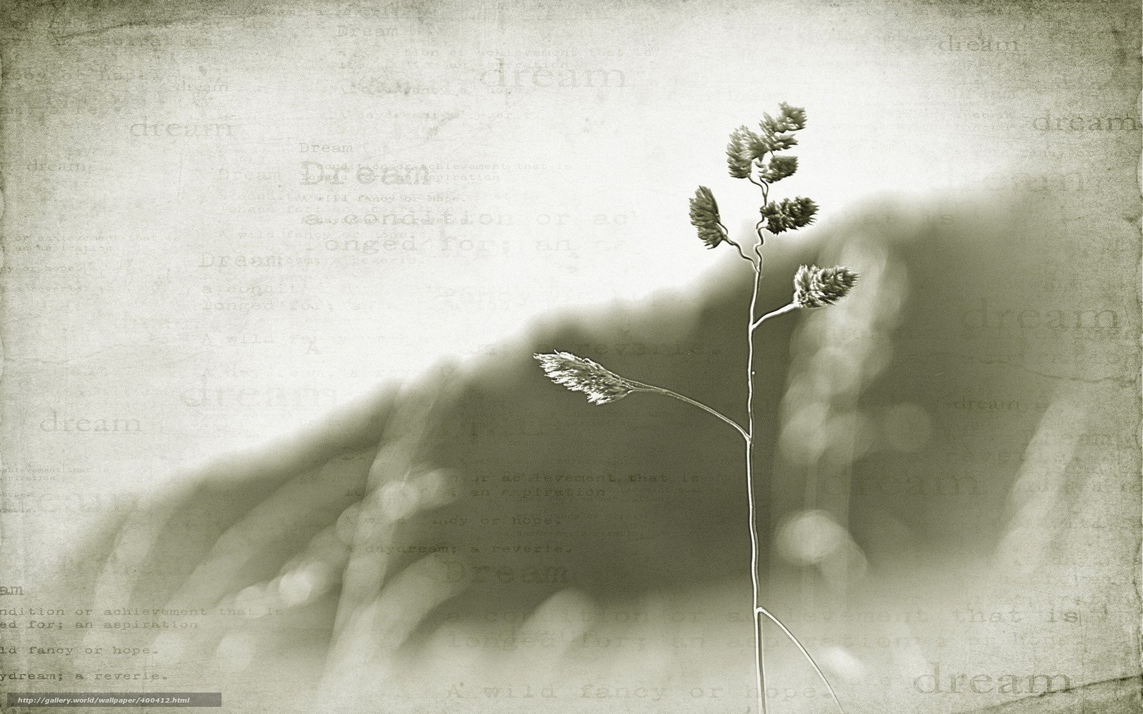 Dreaming grass in sepia
