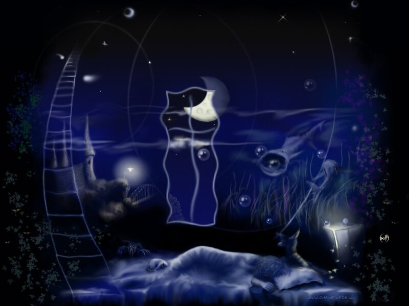 Dreaming under the moon
