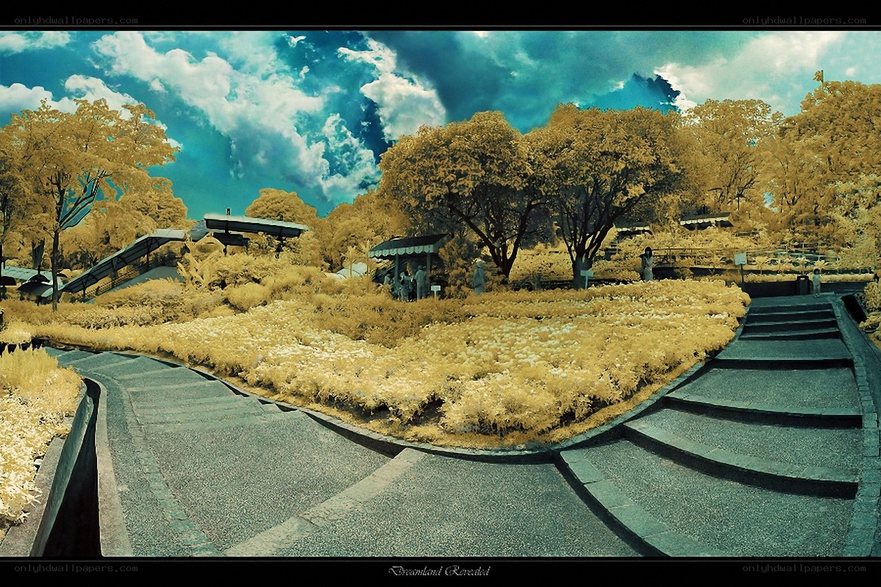 Dreamland Revealed