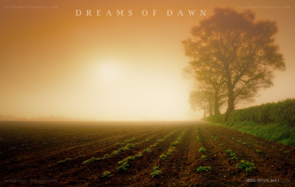 Dreams of Dawn