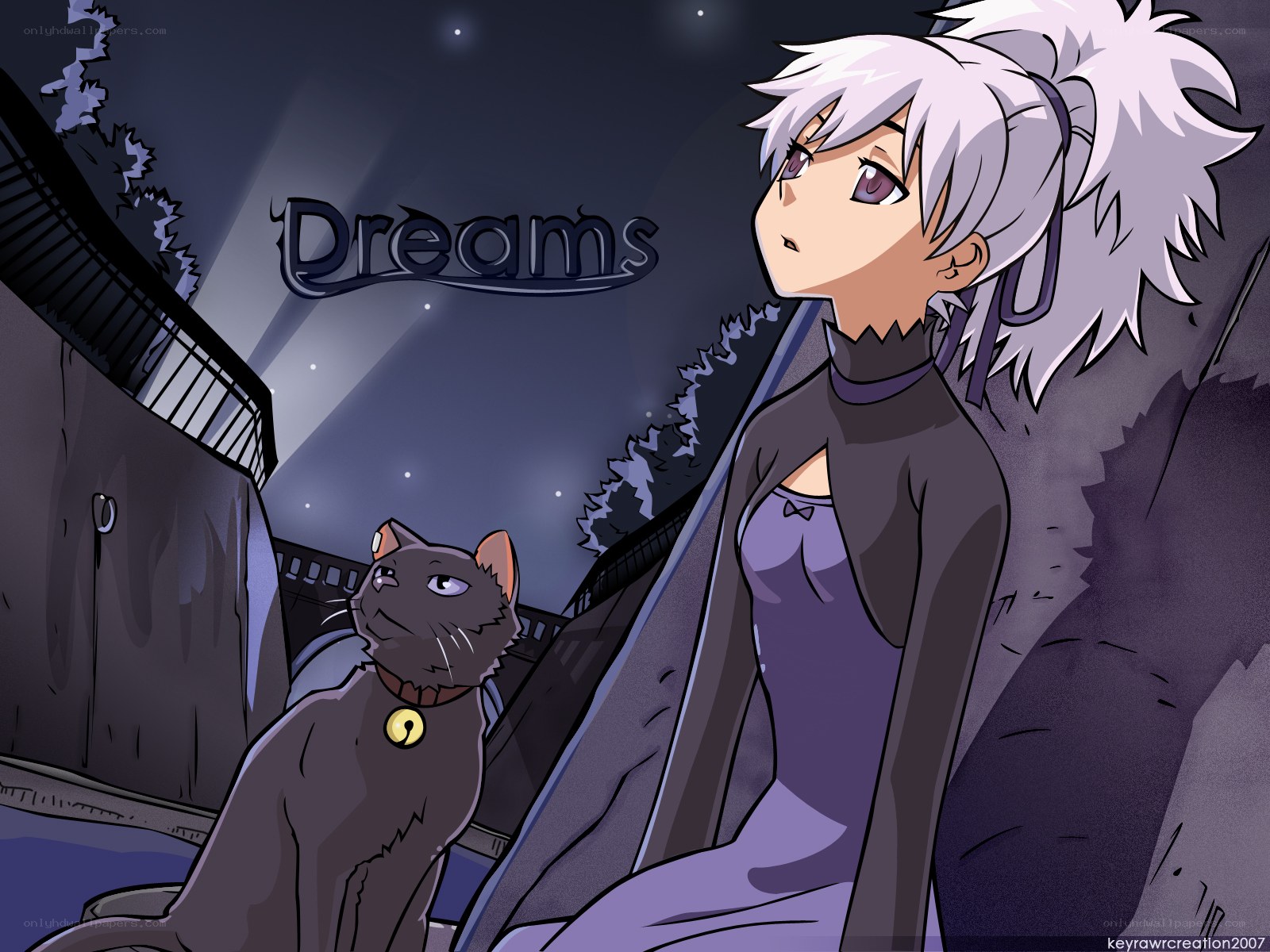 Dreams with a cat